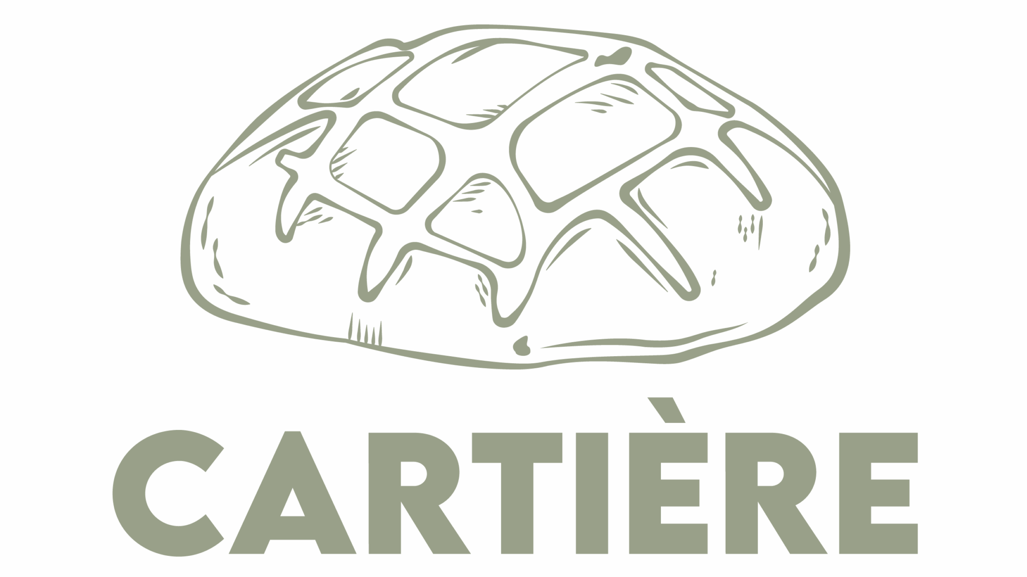 logo primaire vert
