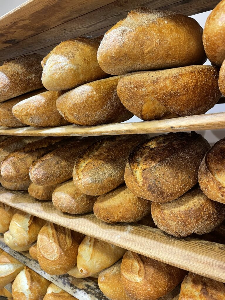 110ba05d 7d14 41a2 863b 0f0a6e9dc281 1 102 o