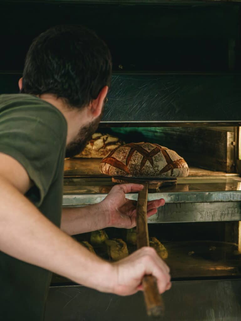 515c36d9 83b2 4535 9e04 8921ad09bd34 1 102 o