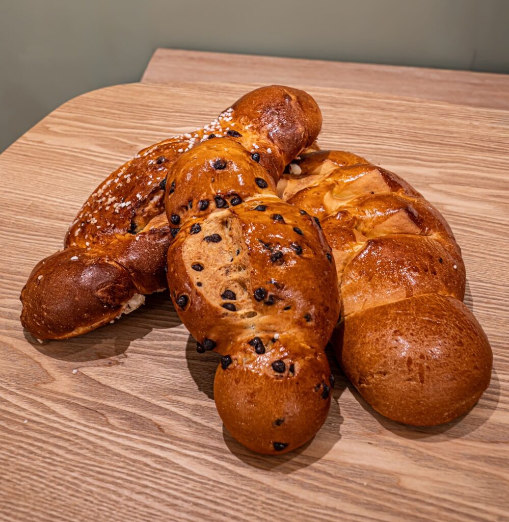 coquilles multi formats