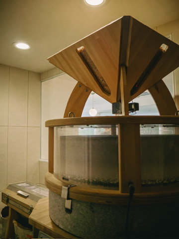 e517731b e487 48b7 aa74 80d1a2a99ccc 4 5005 c